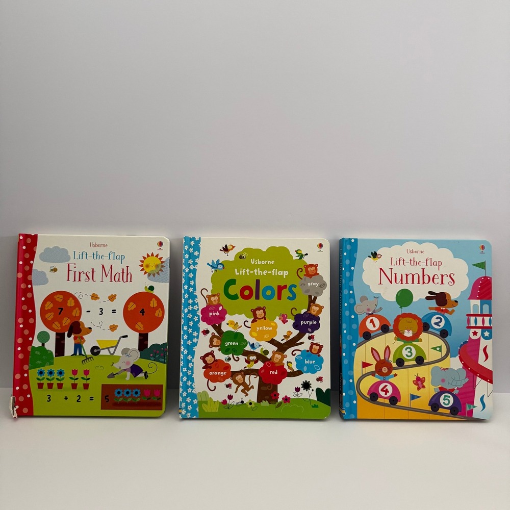 Usborne Lift-the-flap Book Set First Math Colors Numbers